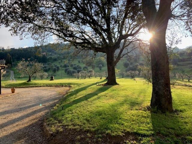 Podere Montaione Βολτέρρα Εξωτερικό φωτογραφία